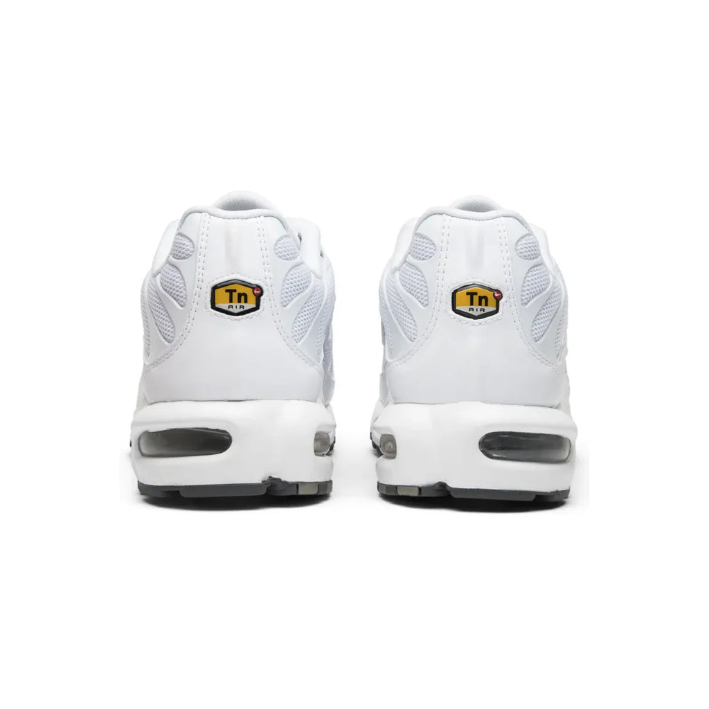 Air Max TN Plus "White Grey"