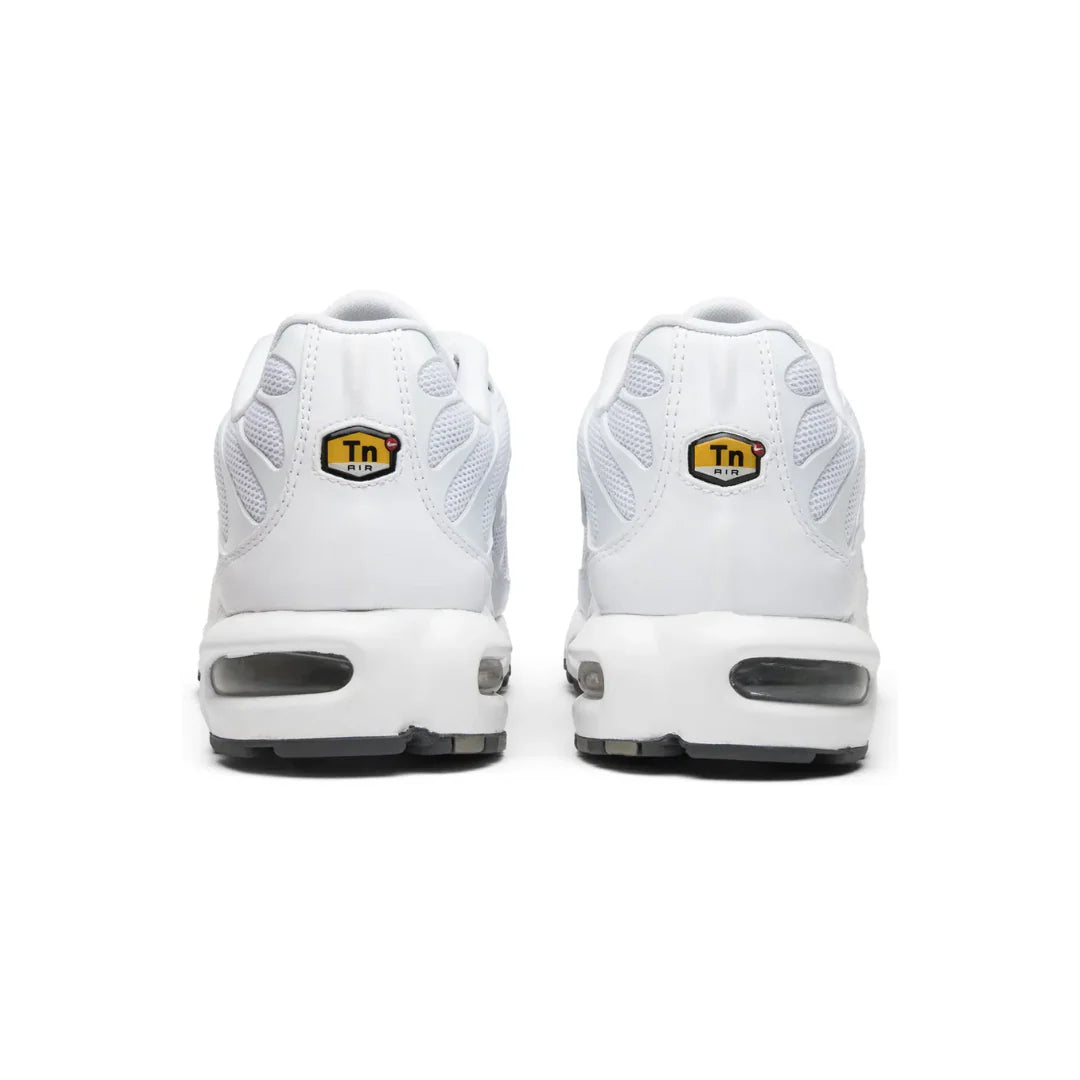 Air Max TN Plus "White Grey"