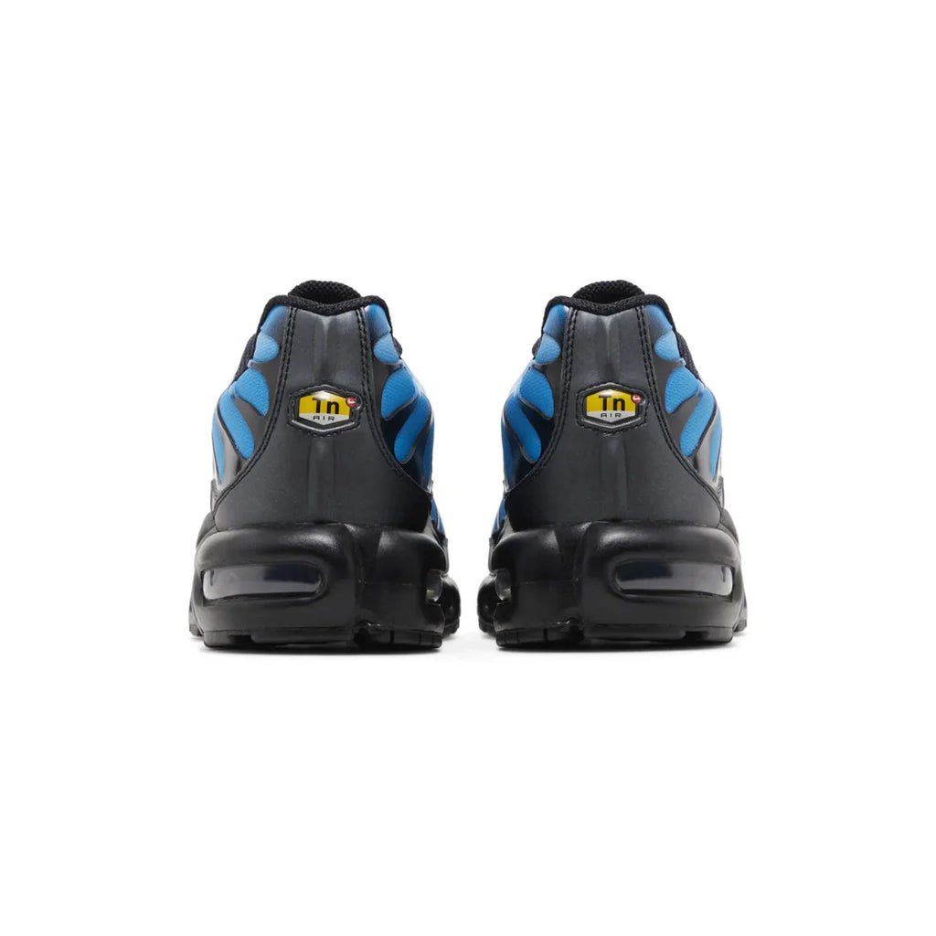 Air Max TN Plus "Neptune Blue"