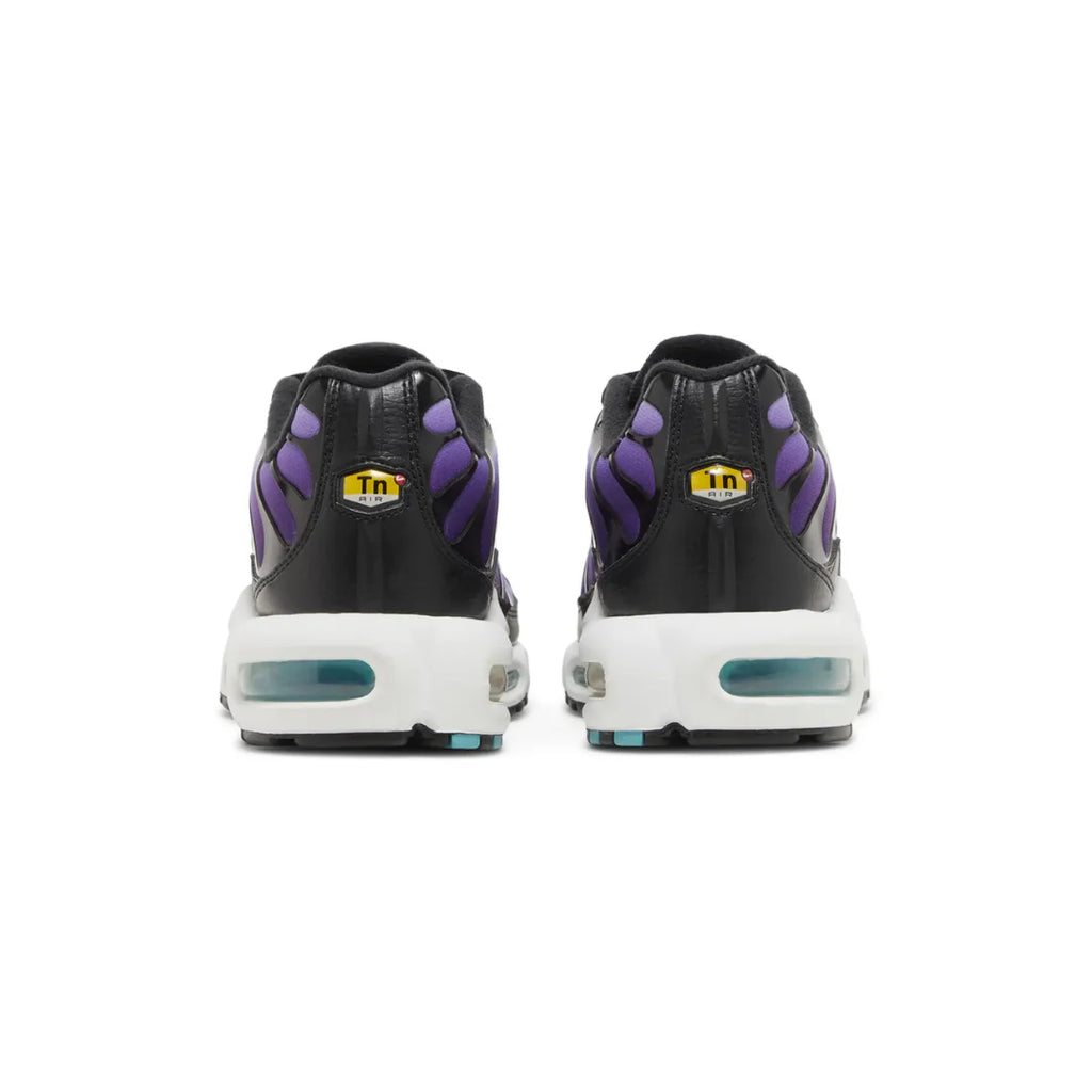 Air Max TN Plus "Reverse Grape"