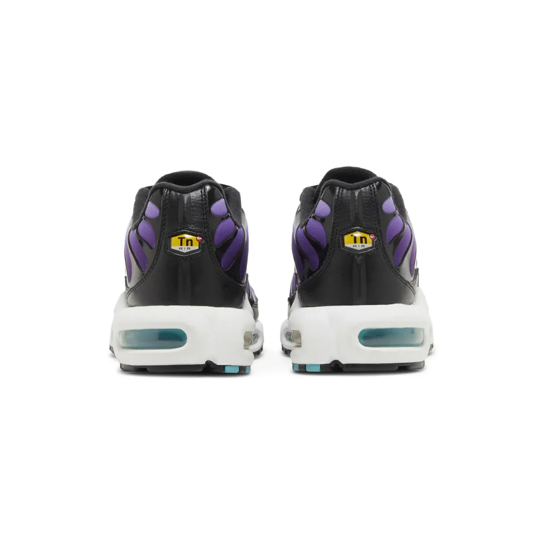 Air Max TN Plus "Reverse Grape"