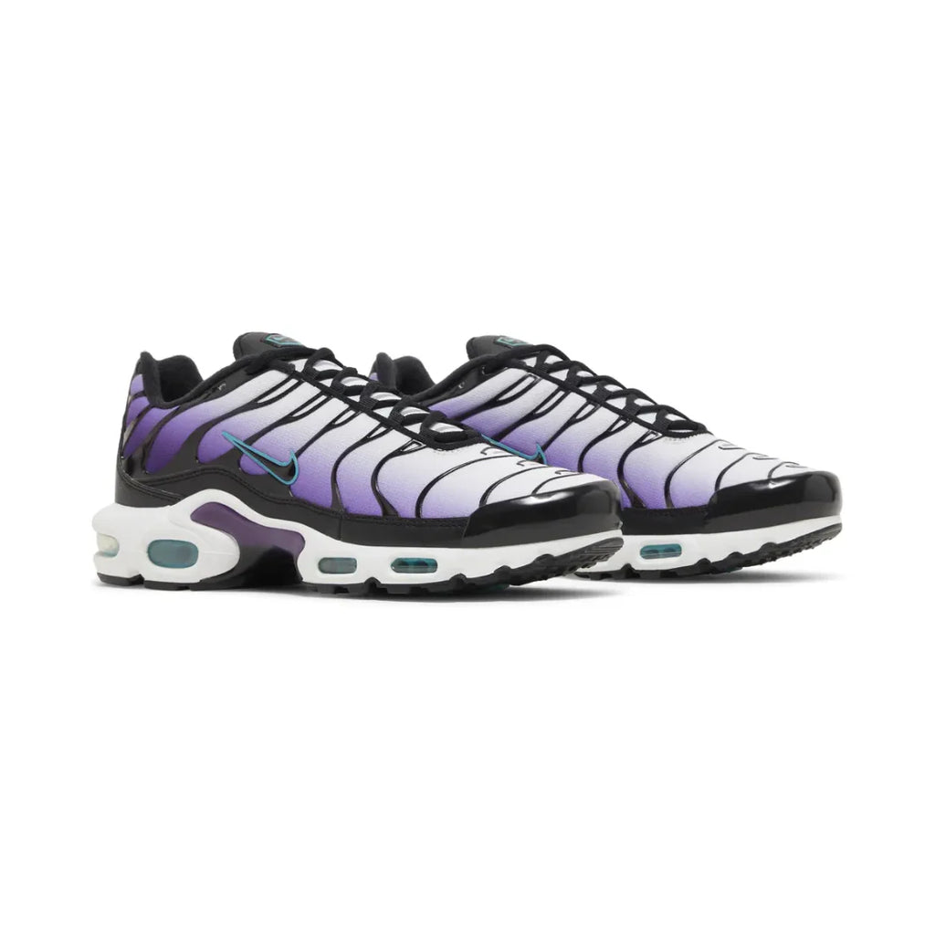 Air Max TN Plus "Reverse Grape"