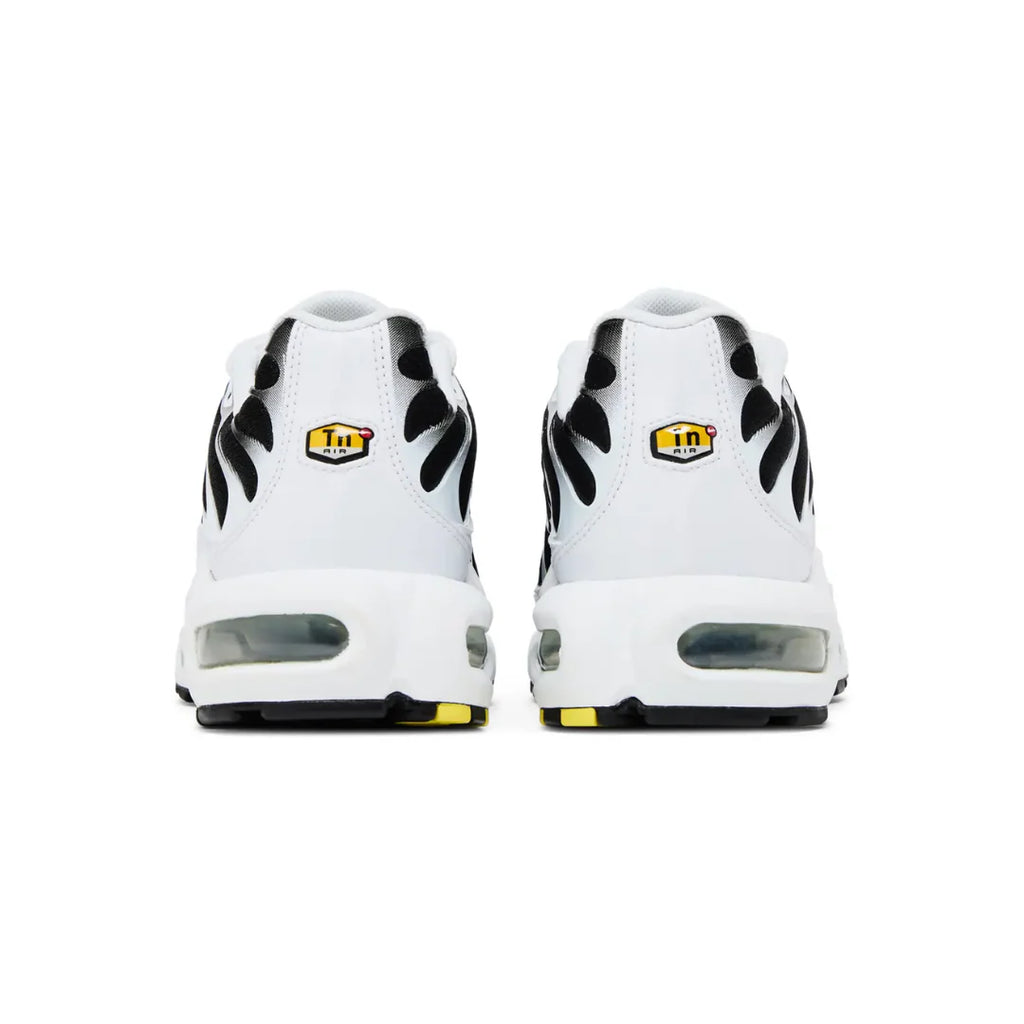 Air Max TN Plus "Killer Whale"